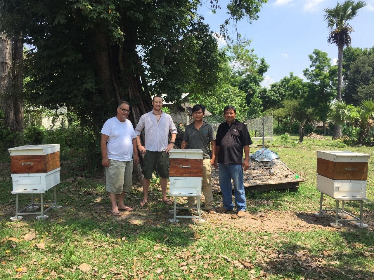 Honey harvest from sustainable hives