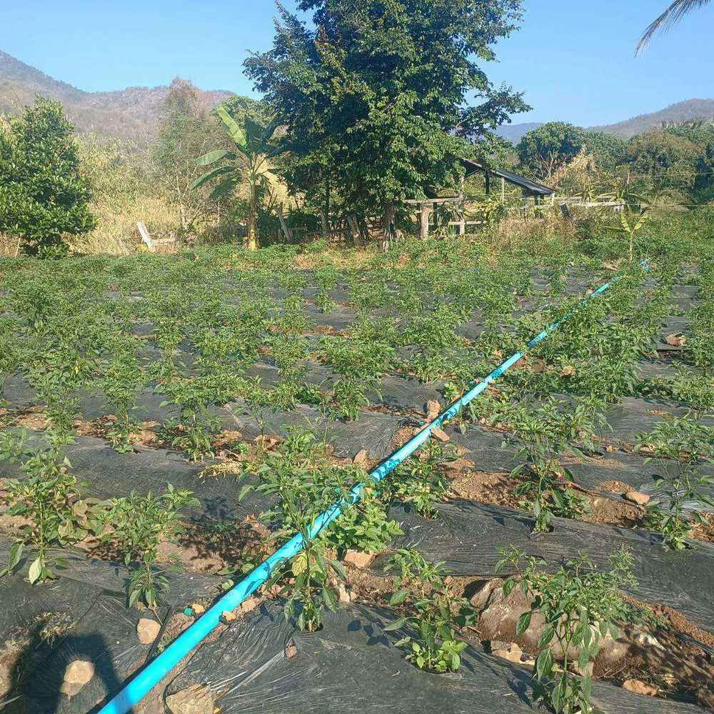 Climate resilience in rural Cambodia