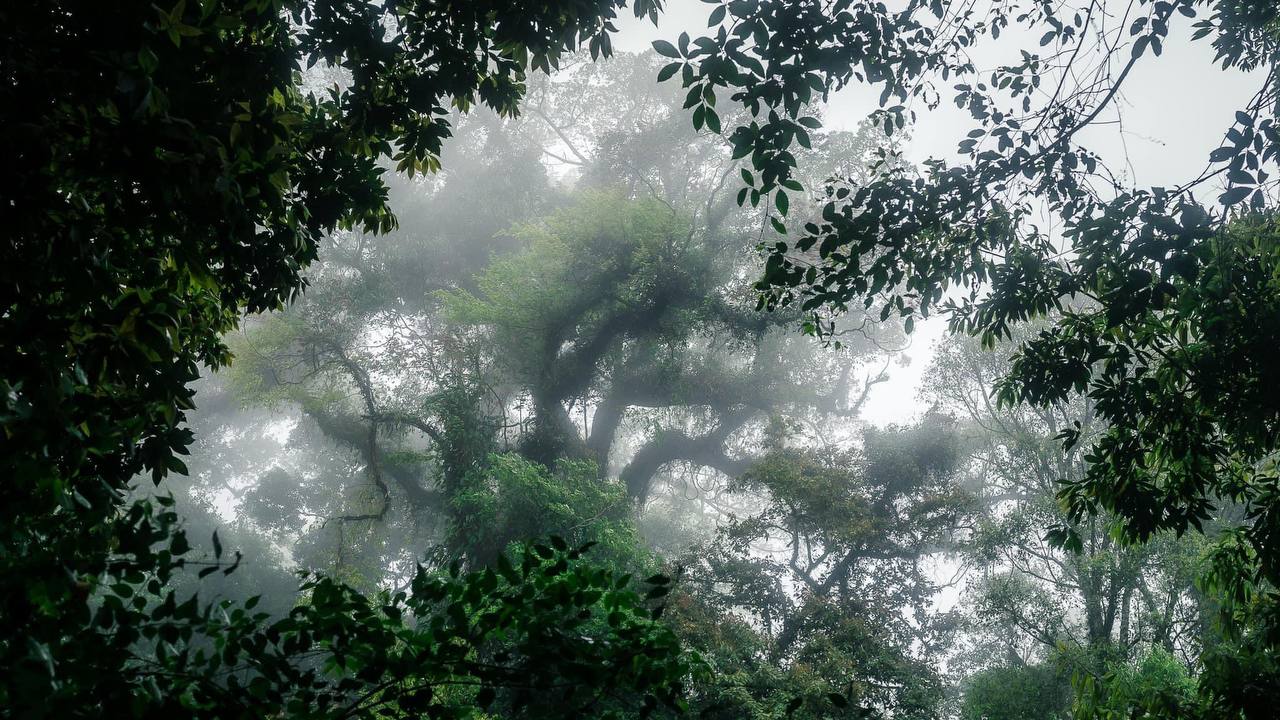 Cardamom mountain landscape in Pursat Province, Cambodia
