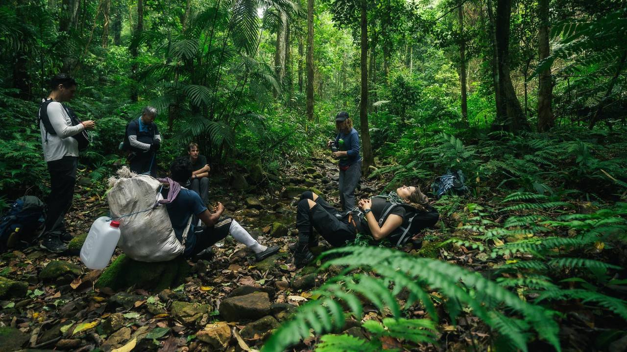 Dense forest canopy in Phnom Samkos Wildlife Sanctuary