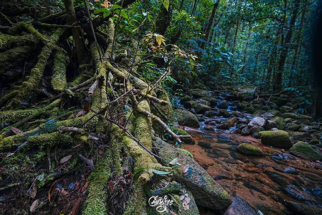 Forest path for hiking in Phnom Samkos