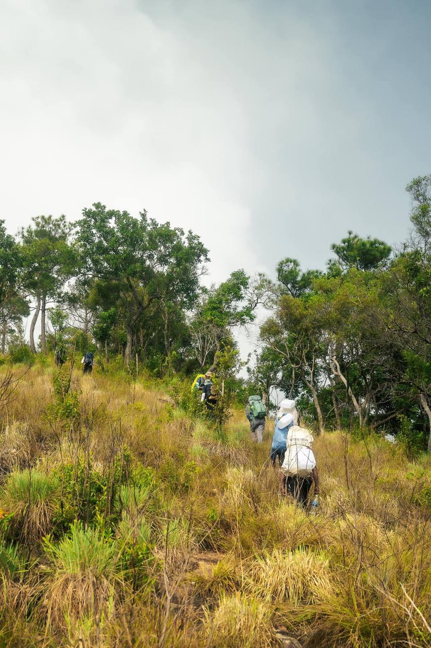 Hiking trail through Phnom Samkos forest in Cambodia