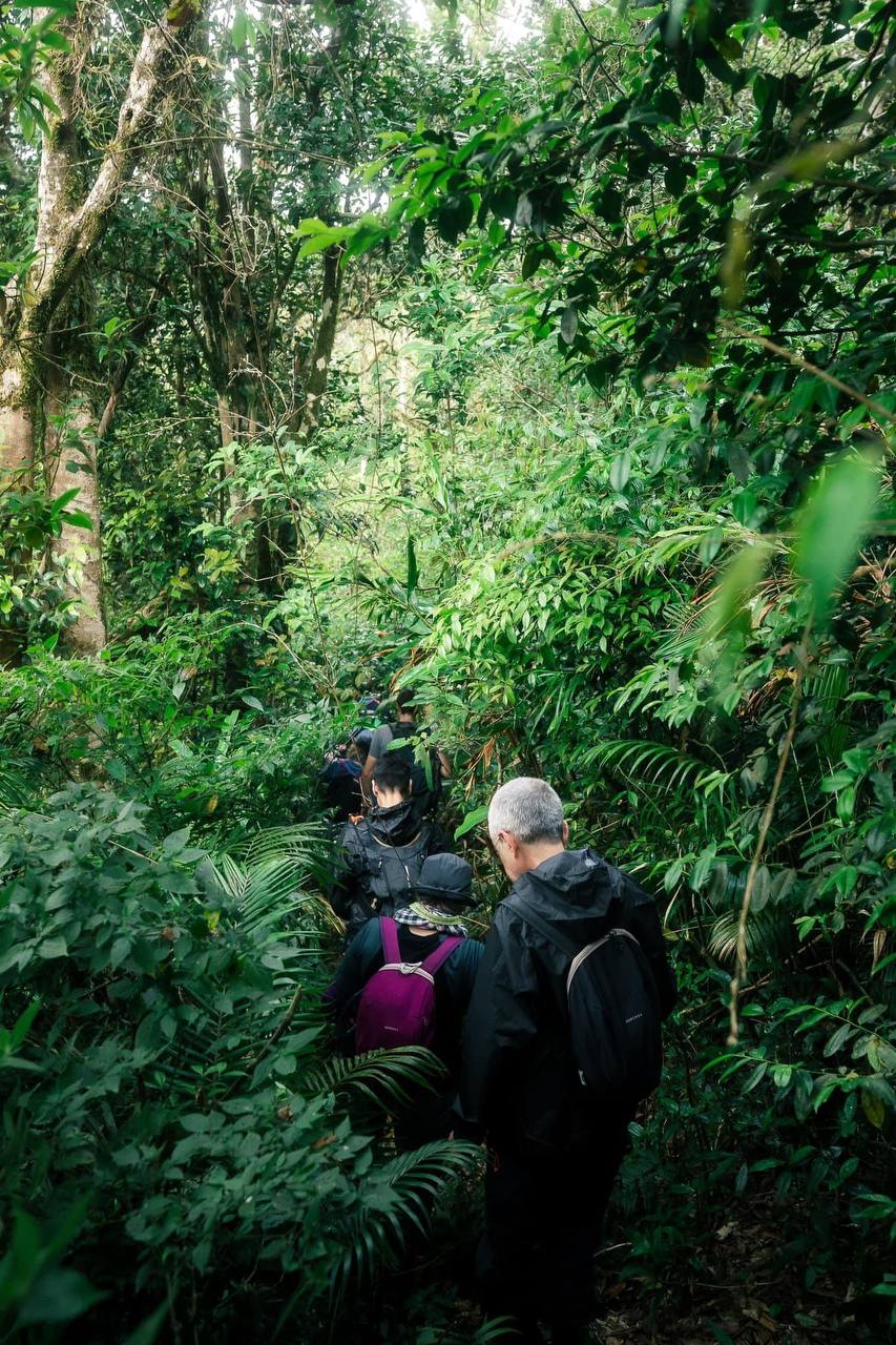 Primary forest in Phnom Samkos Wildlife Sanctuary