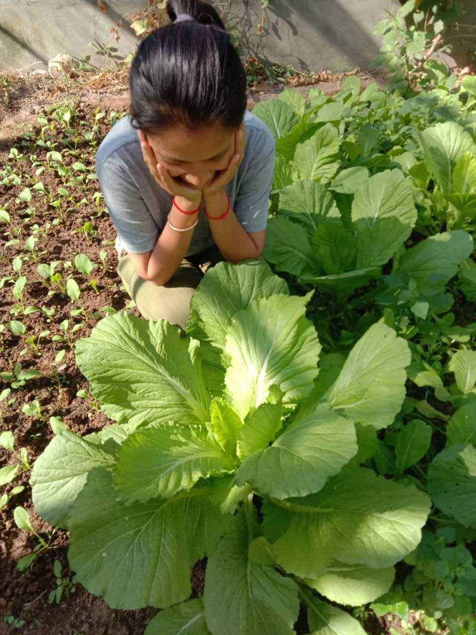 Climate-resilient crops supported by GSO