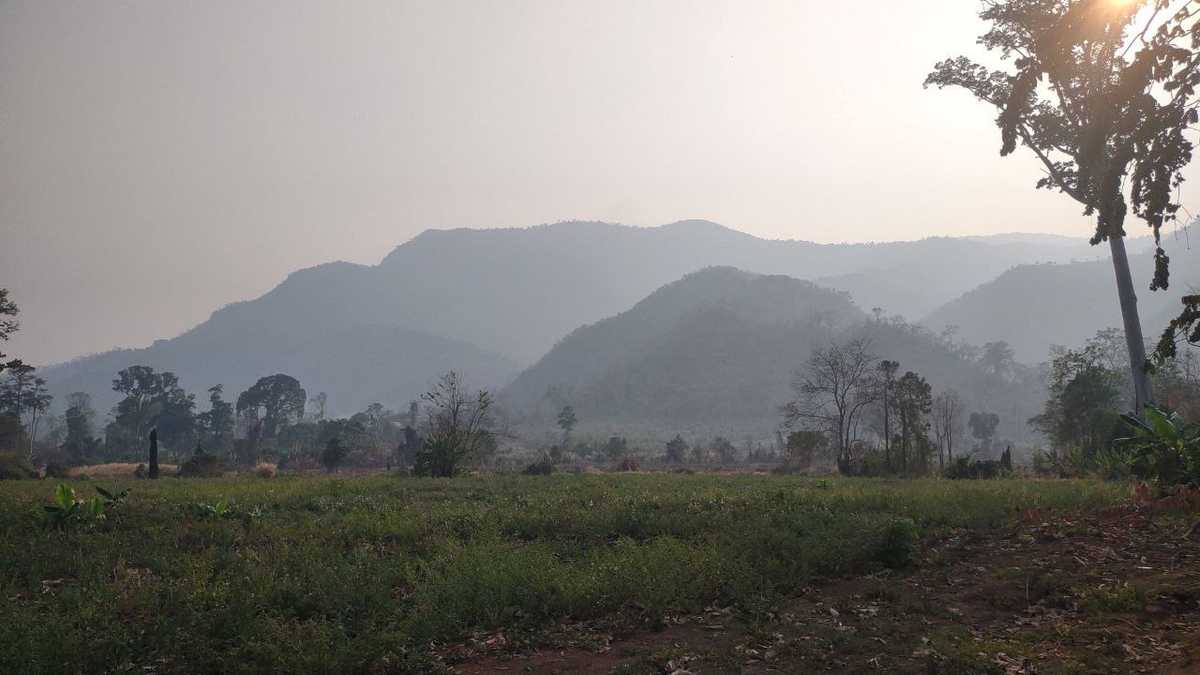 Tropical forest ecosystem in Cambodian highlands