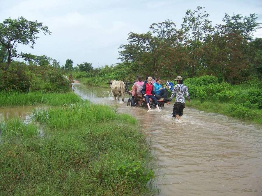 Ox cart carrying people through flooded rural road