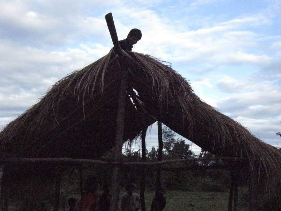 Man working on thatched roof of open structure