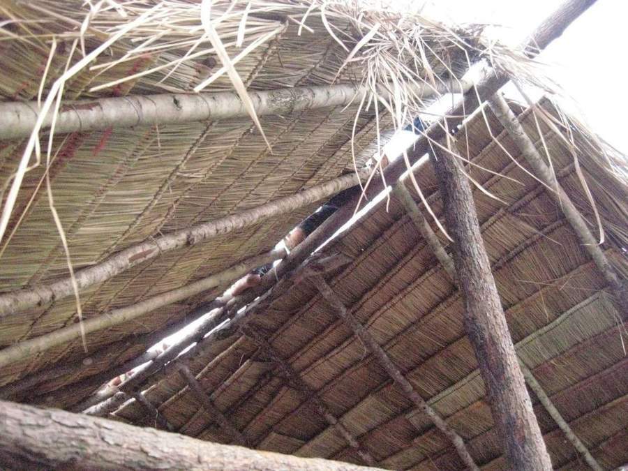 View looking up through thatched roof framework