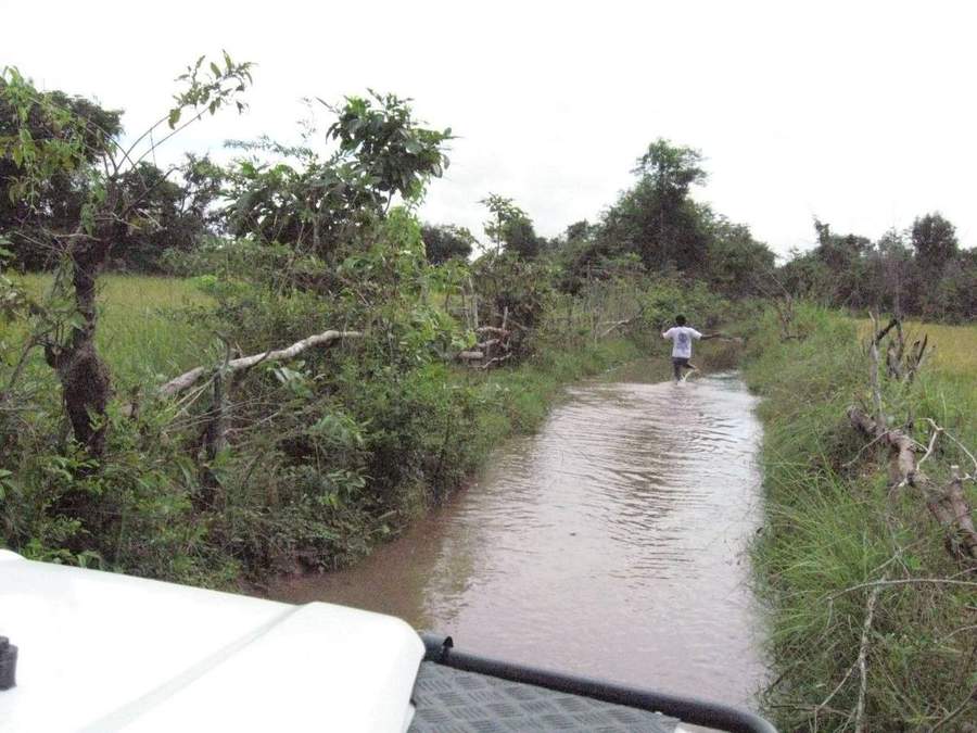 Flooded dirt road through dense green vegetation