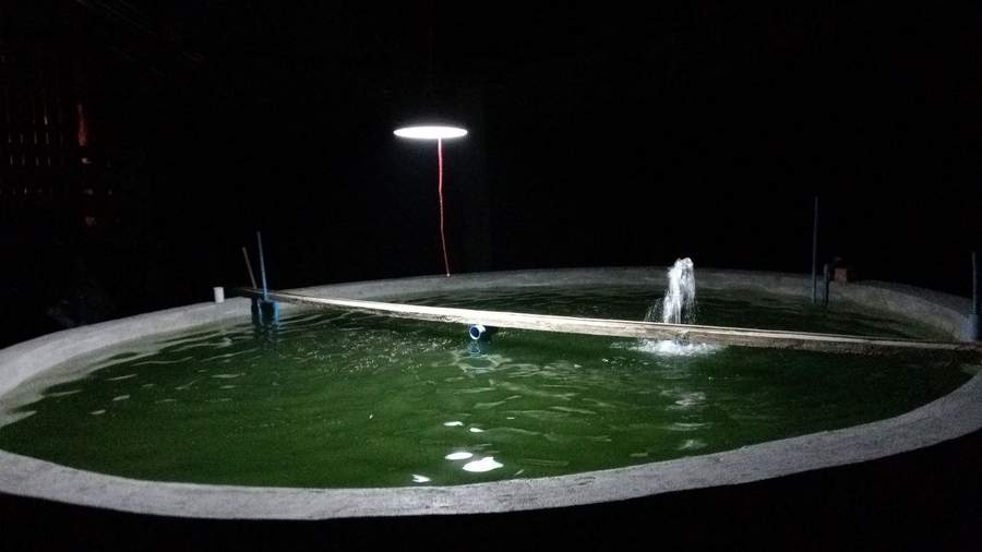 Circular fish pond with aerator running at night