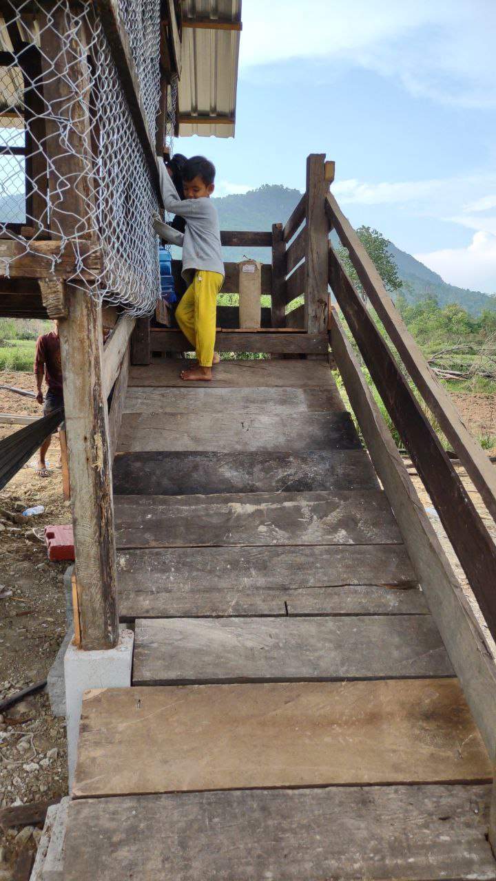 Child climbing wooden stairs of raised goat house