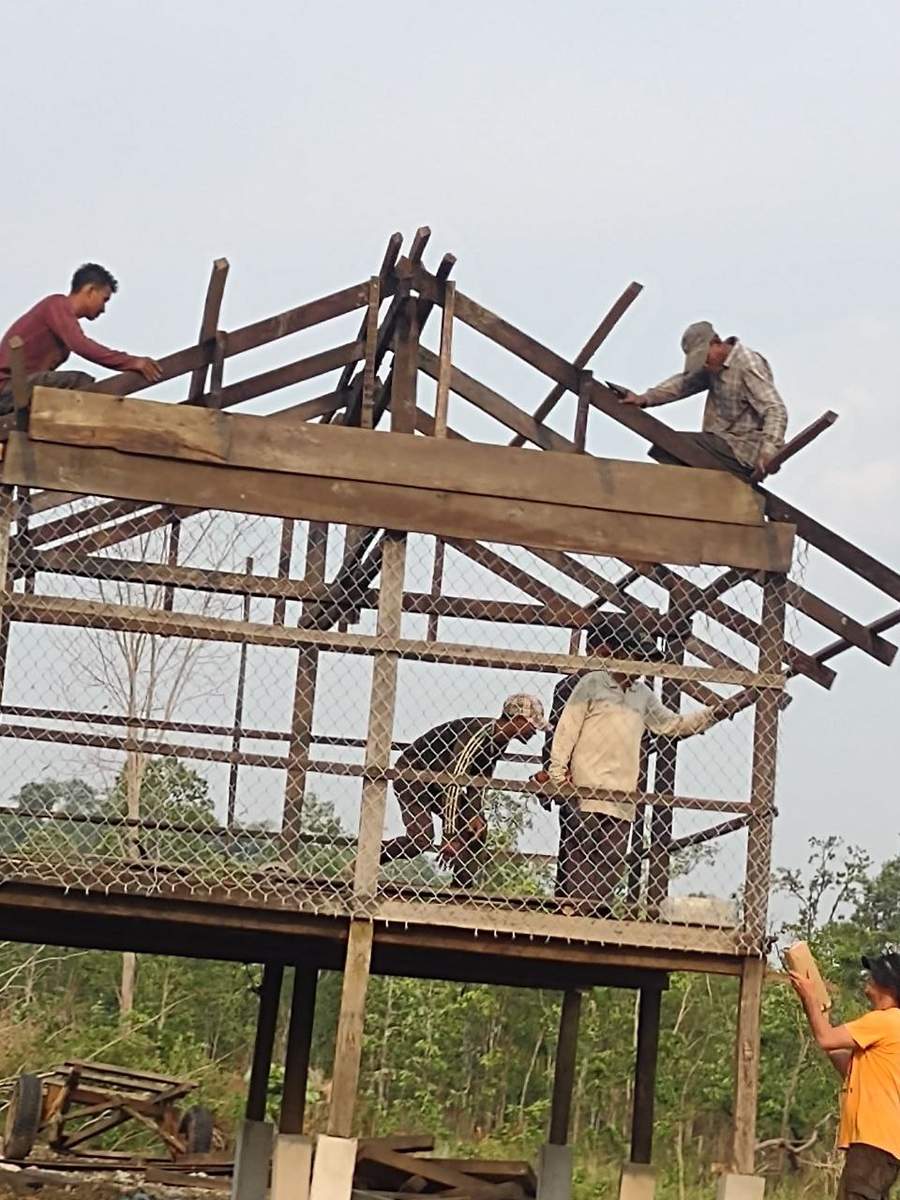 Workers constructing wooden frame goat house with wire mesh