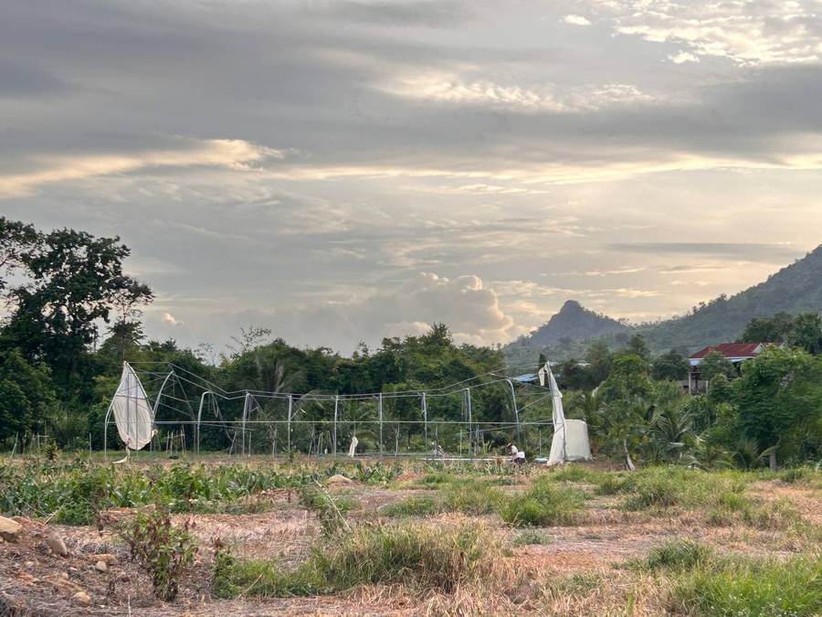 Greenhouse net structure in field with mountain backdrop