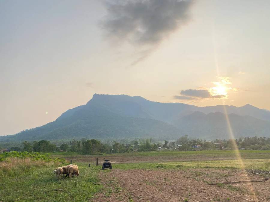 Sun setting behind mountain silhouette with sheep grazing
