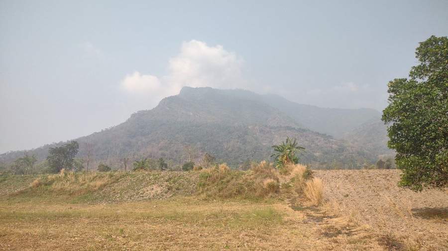 Mountain view across dry rice field