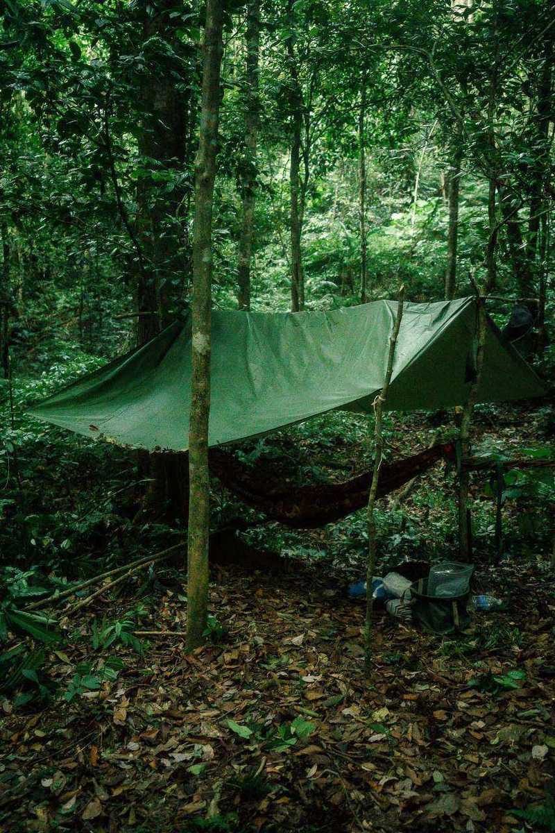 Tarp tent camp with hammock in dense tropical forest