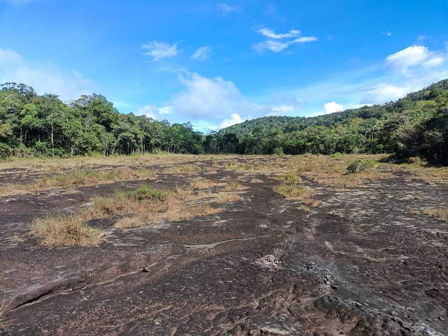 Rocky terrain with forested hills under blue sky