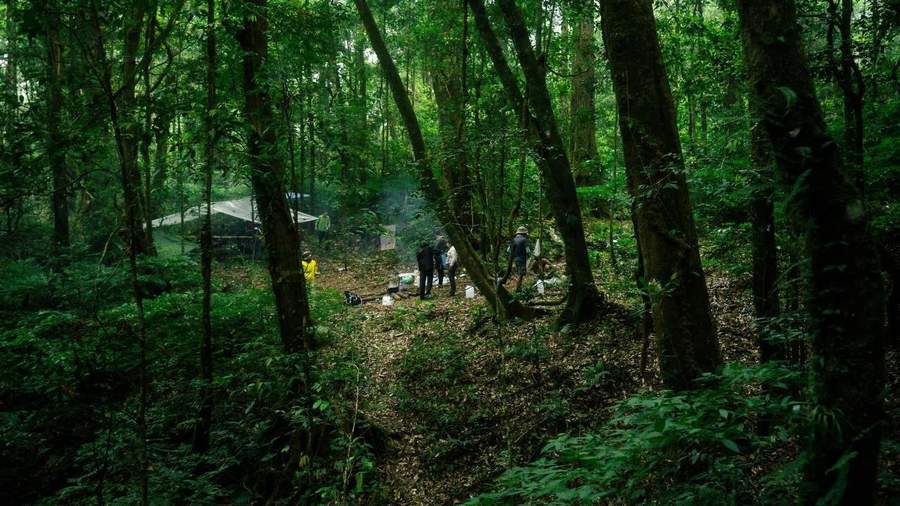 Research camp with people gathered in dense forest