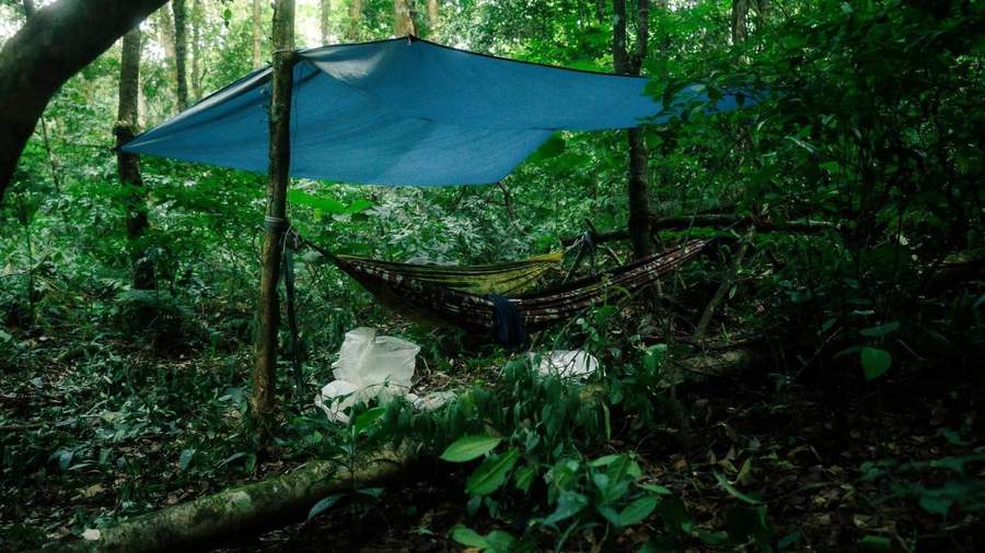 Blue tarp shelter with hammock in tropical forest