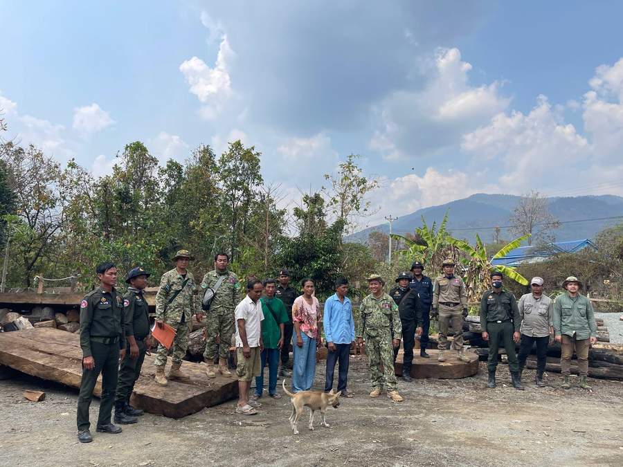 Group standing on seized timber at illegal logging site with authorities