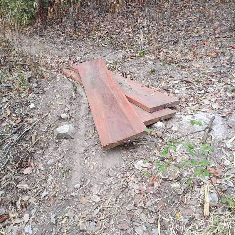 Stack of wooden planks on dirt ground in forest clearing