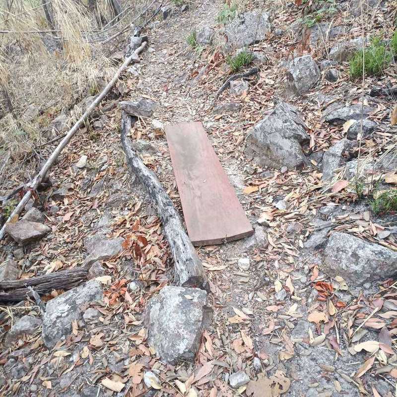 Wooden plank bridge on rocky forest trail