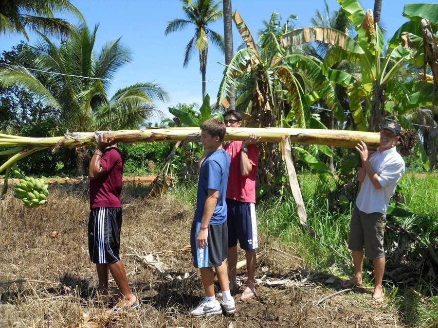 Four men carrying long wooden pole through banana plants