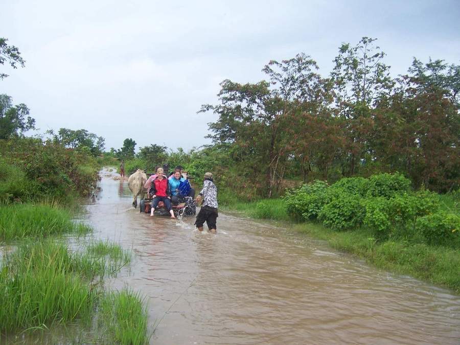 People riding in ox cart pulled through flooded road