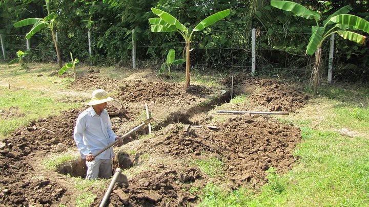Man digging with shovel in trench on grass field