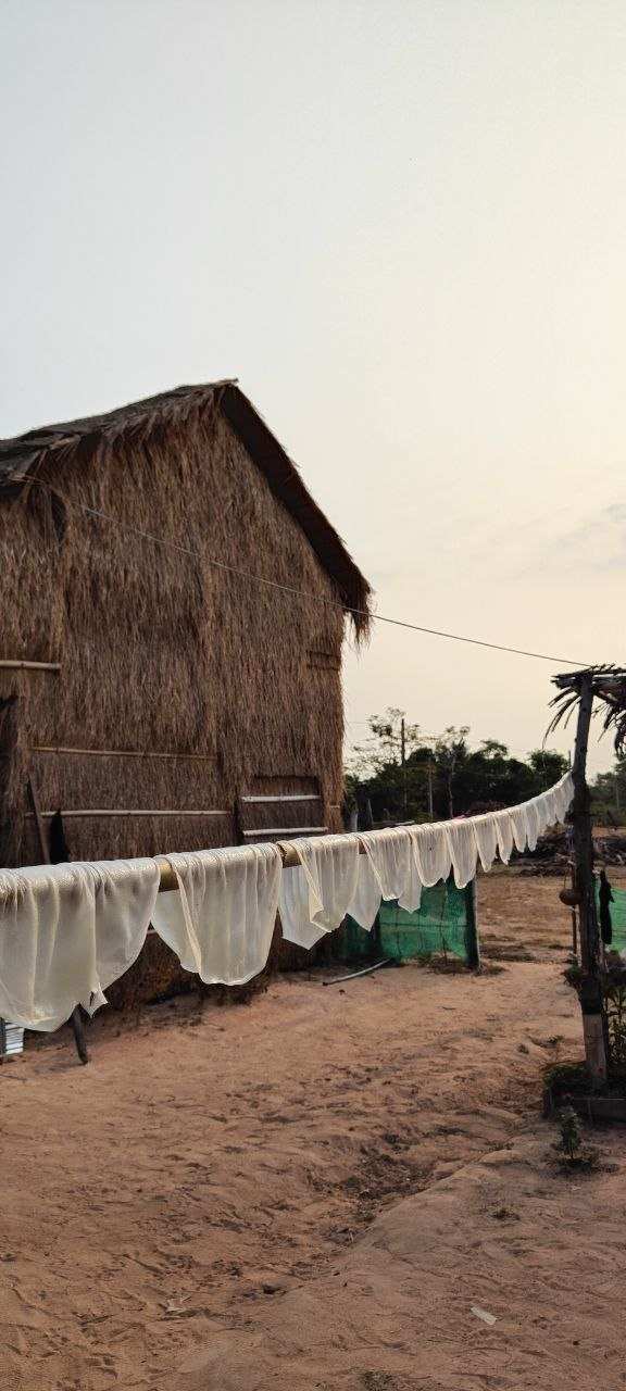 White cloth drying on line outside thatched-roof building