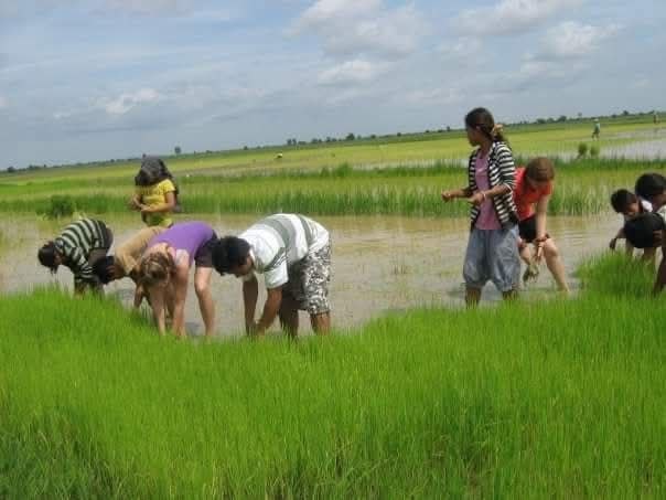 Volunteer experience in rural Cambodia